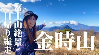 【富士山】絶景続きの金時山縦走登山がすごすぎた【明神ヶ岳/明星ヶ岳】