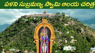 పళని సుబ్రహ్మణ్య స్వామి ఆలయం రహస్యం |Palani Subrahmanya Swamy Temple Secrets | Palani Temple History