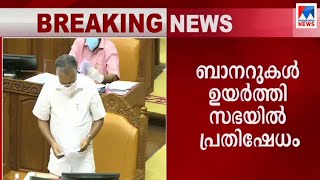 മുഖ്യമന്ത്രി പിണറായി വിജയന്‍ നിയമസഭയില്‍  | Pinarayi vijayan