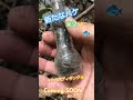 新たなハケ発見✨ ボトルディギング レトロ瓶 bottledigging