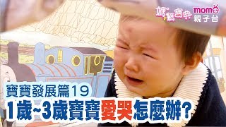 寶寶發展篇 ▶ 19【1歲~3歲 寶寶愛哭怎麼辦?｜黃瑽寧醫師】媽媽寶典S2｜嬰幼兒活動、飲食、醫療｜新手爸媽｜孩子教養｜醫師、營養師分享｜兒童電視節目【親子台｜官方HD｜精華版】momokids