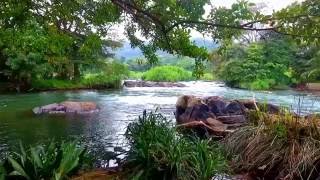 Mahaweli River Drone Video, Kandy, Sri Lanka