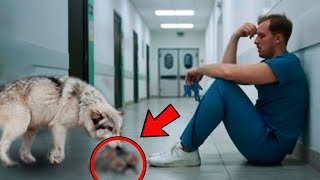 Плачущий волк положил бездыханное существо к ногам доктора, и тут произошло чудо.