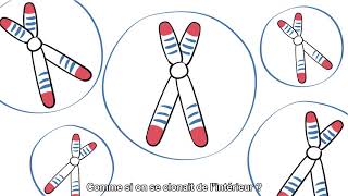 Le petit mot de MAIF Mag - Télomère : c'est quoi au juste ?