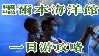 澳洲移民的生活｜墨尔本海洋馆一日游｜遛娃好去处