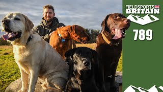 Fieldsports Britain – why the world needs gundogs