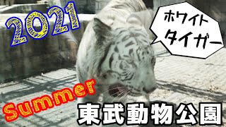 【ファミリーvlog】夏のおすすめファミリースポット東武動物公園2021