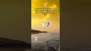 빨간색이며 겉은 부드럽고 속은 달콤한 과일은 무엇인가요? #shorts