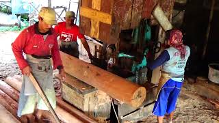 Penggergajian kayu besar | sawmill indonesia