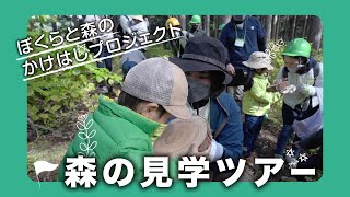 【森を守る】森の見学ツアー/岐阜の森林で触って知って体験して学ぶ