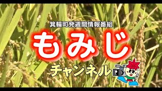 もみじチャンネル 2024年9月第3週 ／・花咲け！みのわのタネ　・みのわテラス通信　・みのわBASEぶらり