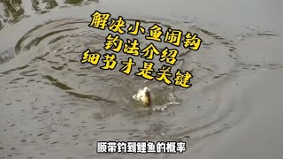 野钓技巧，避麦穗、鳑鲏、趴地虎等小杂鱼的钓法，满满的都是细节~分享钓鱼知识