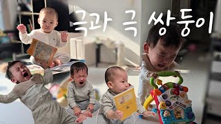 너네 쌍둥이 맞아? 이렇게 다르다고? 때쟁이 12개월 극과 극 반응(생후384-385일차)