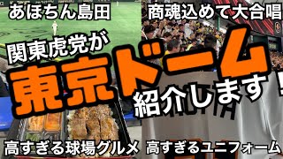 関東虎党が【東京ドーム】紹介します！【伝統の一戦】【物価高すぎ】【商魂込めて】【叙々苑弁当】【商魂こめて】【くたばれ読売】【阪神ファン】【島田】【梅野】【阪神タイガース】【読売ジャイアンツ】