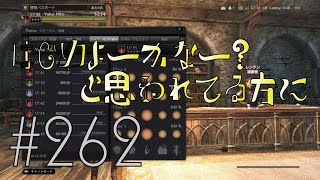 【DDON】1からするDDON! DDONはじめよーかー？と思われてる方に Part262