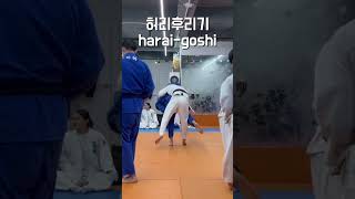 탄력이 남다른 유도관 에이스들 💪 (새해 복 많이 받으세요! 🥳) #haraigoshi #유도 #주짓수 #judo #bjj