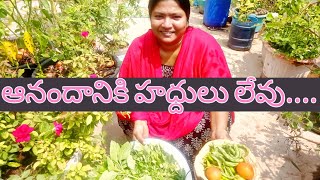 ఆనందానికి హద్దులు లేవు....#telugu #myterracegardentelugu #terresgarden #gardening #health