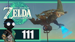 Zelda: Tears of the Kingdom || #111