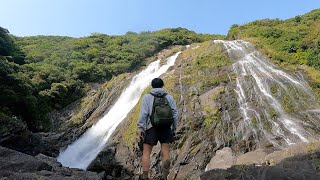 屋久島、大川の滝を見てきました 🇯🇵EP4