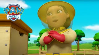 Yummy Honey! - PAW Patrol Episode - Cartoons for Kids Compilation