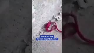 Inside Bashar Al Assad S Human Slaughterhouse