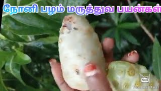 இந்தப் பழம் இப்படி தான் இருக்குமா?