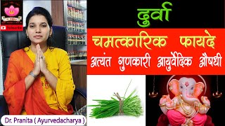 Durva fayde | दुर्वा आश्चर्यकारक फायदे | Doob grass | ayurvedic benifits of durva | दूब घास | उपयोग