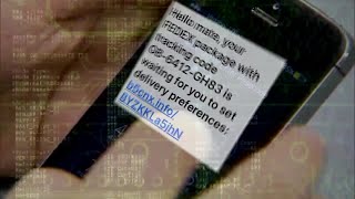 WEB EXTRA: Delivery Notification Scam Warning