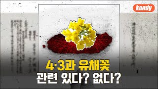 [제주 넘는 소년] 제주4·3과 유채꽃은 어떤 관계가 있을까?ㅣ캔디🍬