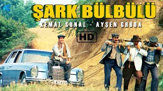 Şark Bülbülü Türk Filmi | RESTORASYONLU | Kemal Sunal Filmleri
