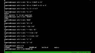 Constant Integer Expression Calculator in C - calc