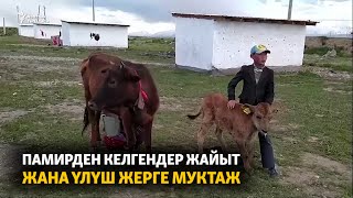 Памирден келгендер жайыт жана үлүш жерге муктаж