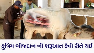 કુત્રિમ બીજદાન ની શરૂઆત કેવી રીતે થઈ| How Kutrim Bijdaan started |कृत्रिम बिजदान की शुरुआत कैसे हुई.