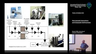 N. Fasel - Host parasite interactions and metastatic leishmaniasis