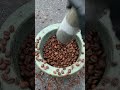 ASMR Satisfying Video | How to grind coffee manually #shorts