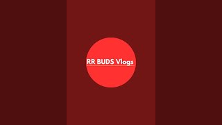 RR Buds Vlogs is live // முதல் live வாங்க பேசலாம்//நல்லதே பேசலாம் இனிய காலை வணக்கம் 🙏🙏🙏🙏