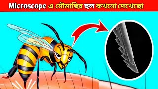 মৌমাছির হুল কেন এত বিপজ্জনক? | Amazing Microscopic fact in the World | Facts | Fact Bangla