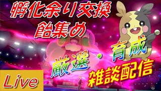 【ポケモン剣盾】トゲデマル、ゲンガー、バタフリーのランクマ　孵化余り交換＆ダイマックス【初見さん大歓迎】