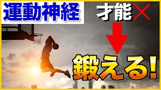 【全小中学生必見】運動神経は才能ではない！？今からお子さんの運動神経を鍛える方法とは