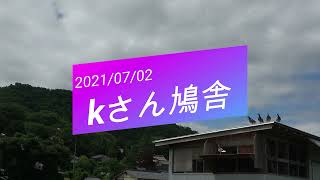 kさん鳩舎　2021年7月2日