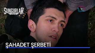 Sungurlar |Şahadet Şerbeti!