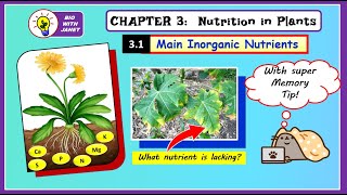 SPM BIOLOGY F5 CHAP 3 (3.1) PLANT NUTRITION, MACRONUTRIENTS, MICRONUTRIENTS