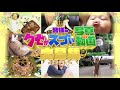 【公式】＜7月29日（木）放送＞クセがスゴい写真or動画｜テレビ西日本