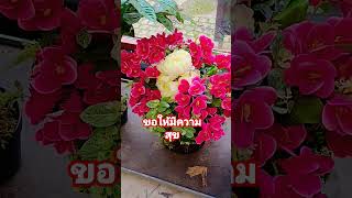 สาธุ##ธรรมะ #คิดดีทำดี #คําพูดให้กําลังใจ #ทำบุญ #สอนธรรมะ