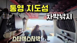 배타고 5분 무인도같은 통영섬에서 낚시와 스텔스차박 #스타렉스차박 #섬낚시 #고양이