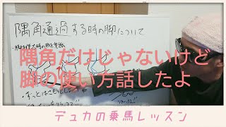 【乗馬】隅角通過時…だけじゃないけど内方脚についての動画【馬ブログ】