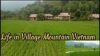 Very Beautiful Mountain Village of Vietnam