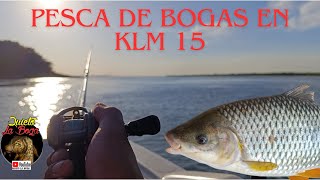 PESCA DE BOGAS EN KLM15 CORRIENTES