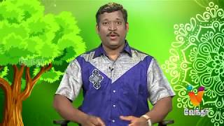 ஹோட்டல் (Hotel) உணவு எப்படி செய்கிறார்கள்..?? அதனால் வரும் தீமைகள்..!