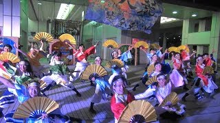 破天荒　2017　夢色　第16回　ドリーム夜さ来い祭り　フジテレビ会場